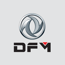 DFM